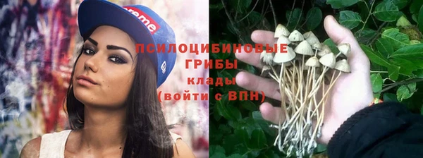Альфа ПВП Балабаново