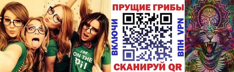 Галлюциногенные грибы MAGIC MUSHROOMS  продажа наркотиков  мориарти официальный сайт  Елизово 