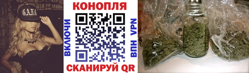 где купить наркотик  Елизово  это Telegram  Бошки марихуана White Widow 